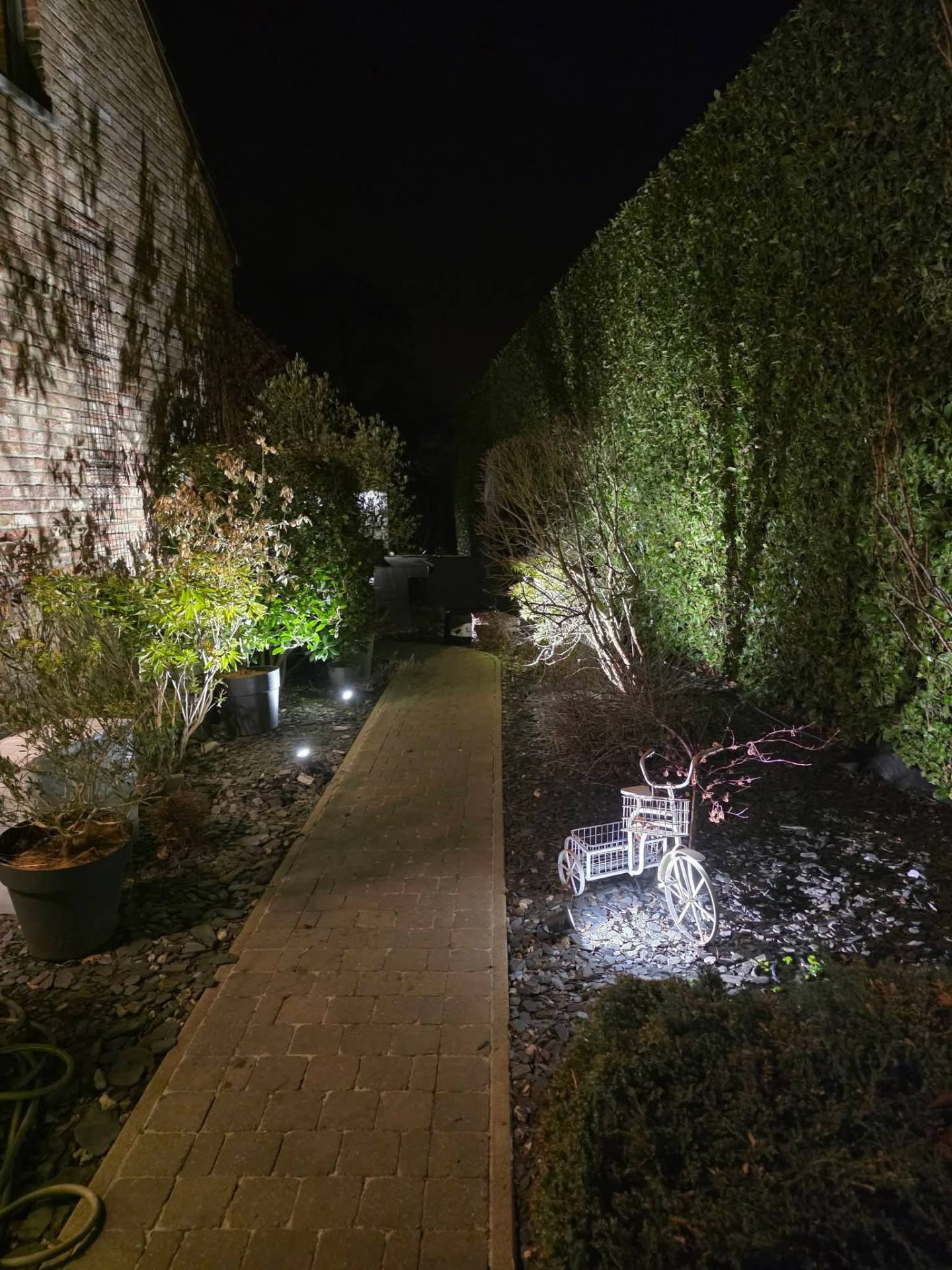 Mise en lumière de jardin