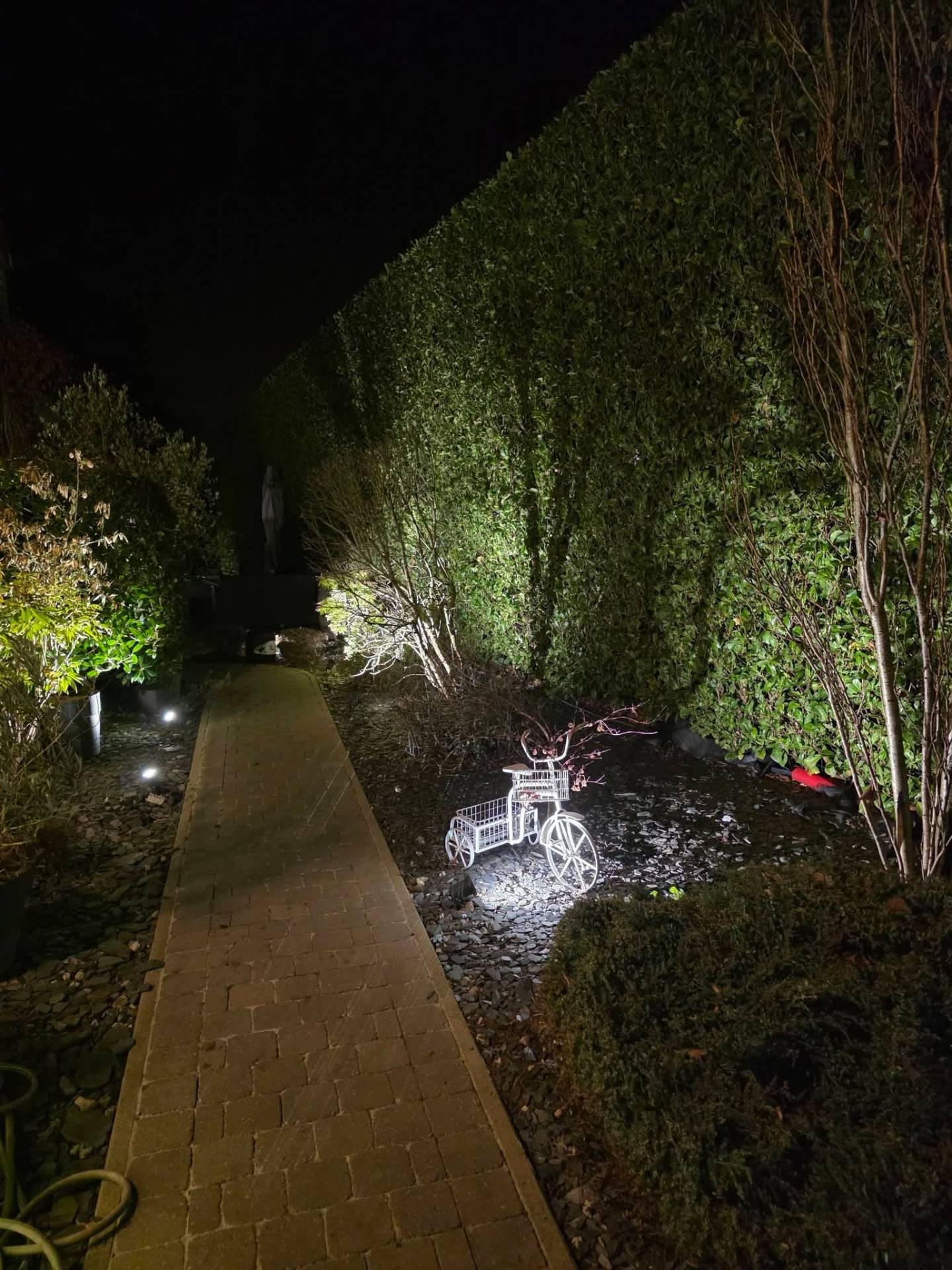 Éclairage paysager nocturne